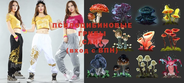 прущий лед Белоозёрский