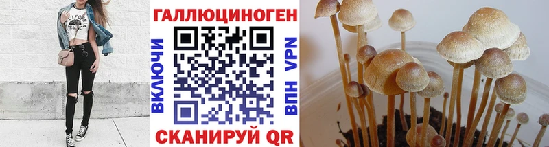 Галлюциногенные грибы мицелий  наркотики  Нязепетровск 